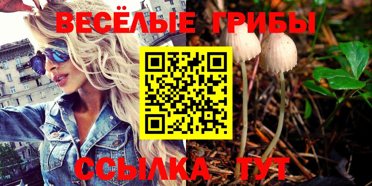 Псилоцибиновые грибы Magic Shrooms  Вход с VPN  Кумертау 